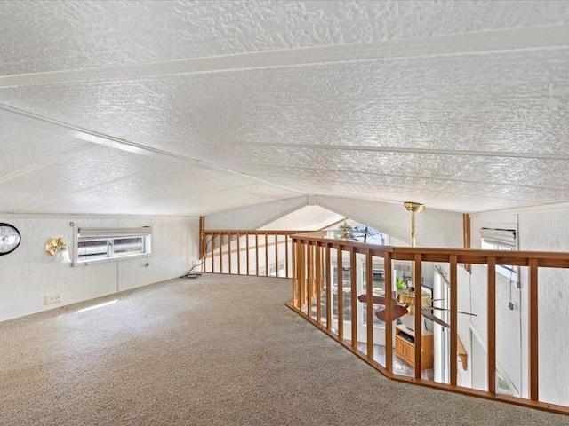 15827 Wilderness Trl Unit 30, Crosslake, MN 56442 - bonus room featuring carpet flooring and a textured ceiling
