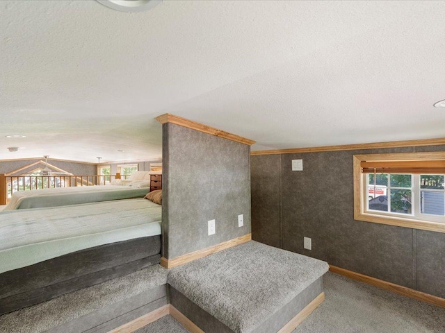 15827 Wilderness Trl Unit 112, Crosslake, MN 56442 - carpeted bedroom featuring baseboards and a textured ceiling