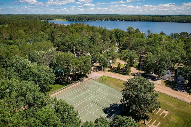 15827 Wilderness Trl Unit 112, Crosslake, MN 56442 - aerial view of a forest and a large body of water
