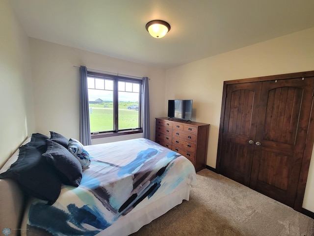 11003 Eagles Nest Ct, Audubon, MN 56511 - bedroom with carpet flooring and a closet