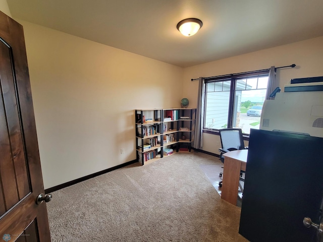11003 Eagles Nest Ct, Audubon, MN 56511 - carpeted home office with baseboards