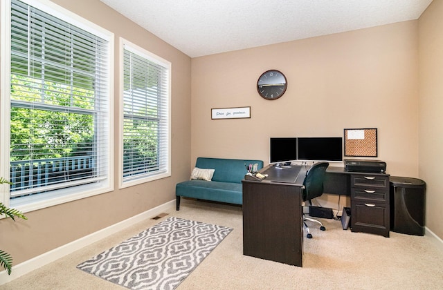 6274 Zircon Ln N, Maple Grove, MN 55311 - carpeted office space featuring baseboards and a textured ceiling