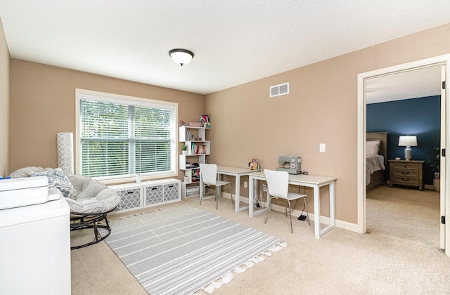 6274 Zircon Ln N, Maple Grove, MN 55311 - carpeted office space with baseboards