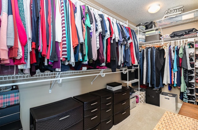 6274 Zircon Ln N, Maple Grove, MN 55311 - spacious closet featuring carpet flooring