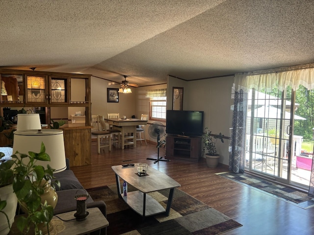77165 Stepan Rd, Kettle River Twp, MN 55795 - living room featuring wood finished floors, a textured ceiling, lofted ceiling, and a ceiling fan