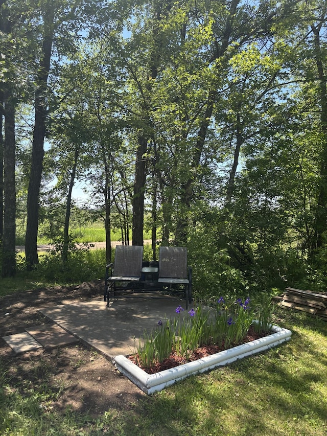 77165 Stepan Rd, Kettle River Twp, MN 55795 - view of yard