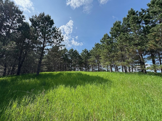 75A Hines Rd NE, Hines Twp, MN 56647 - photo 1