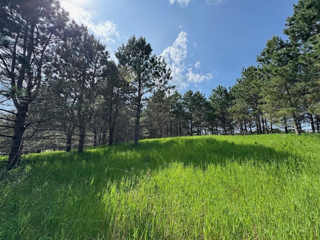 75A Hines Rd NE, Hines Twp, MN 56647 - photo 2