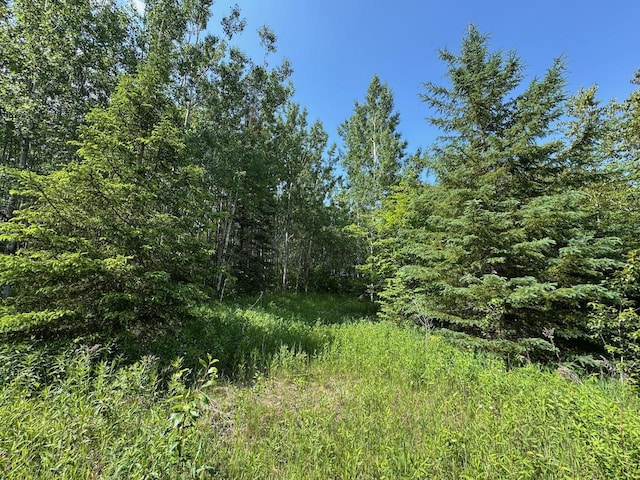 75A Hines Rd NE, Hines Twp, MN 56647 - photo 4
