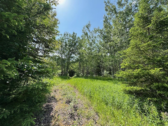 75A Hines Rd NE, Hines Twp, MN 56647 - photo 6