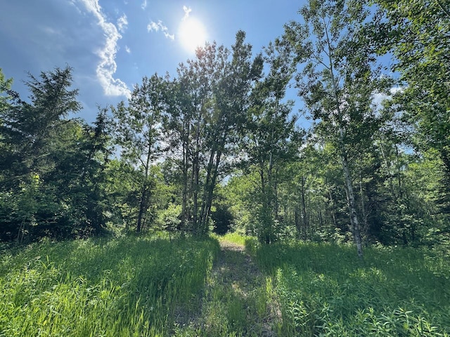 75A Hines Rd NE, Hines Twp, MN 56647 - photo 8