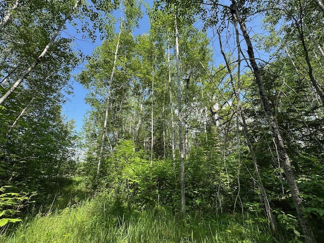 75A Hines Rd NE, Hines Twp, MN 56647 - photo 11