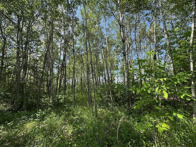 75A Hines Rd NE, Hines Twp, MN 56647 - photo 13