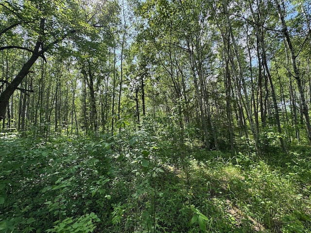 75A Hines Rd NE, Hines Twp, MN 56647 - photo 14