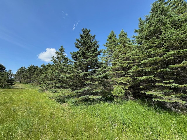 75A Hines Rd NE, Hines Twp, MN 56647 - photo 15