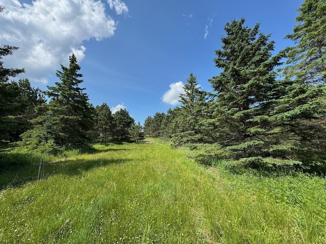 75A Hines Rd NE, Hines Twp, MN 56647 - photo 16