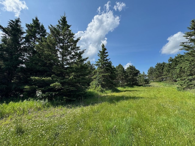 75A Hines Rd NE, Hines Twp, MN 56647 - photo 17