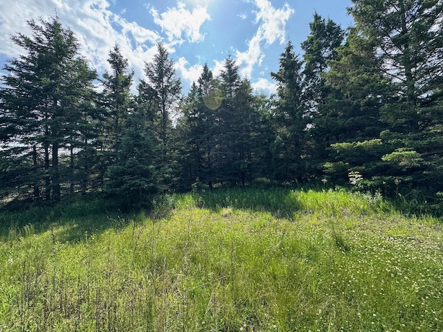 75A Hines Rd NE, Hines Twp, MN 56647 - photo 18