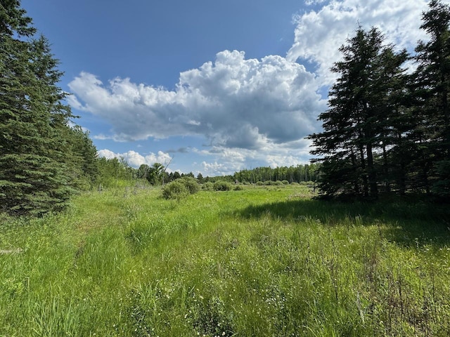 75A Hines Rd NE, Hines Twp, MN 56647 - photo 19