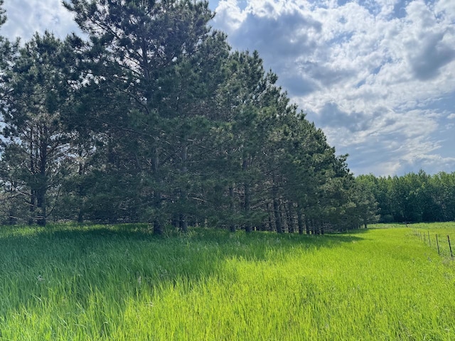 75A Hines Rd NE, Hines Twp, MN 56647 - photo 22