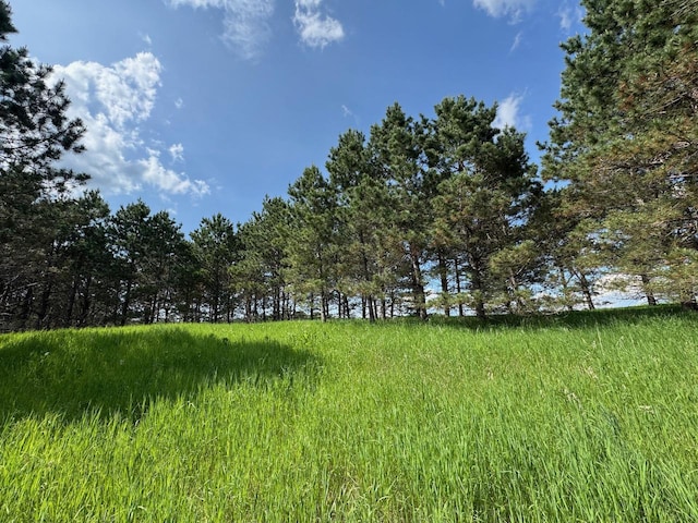 75A Hines Rd NE, Hines Twp, MN 56647 - photo 27