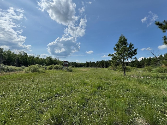 75A Hines Rd NE, Hines Twp, MN 56647 - photo 29