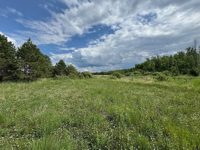 75A Hines Rd NE, Hines Twp, MN 56647 - photo 31