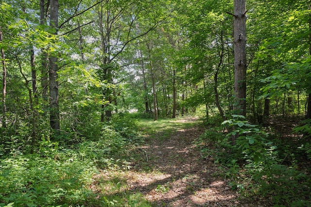 990 221st Ave NW, Oak Grove, MN 55011 - view of wooded area