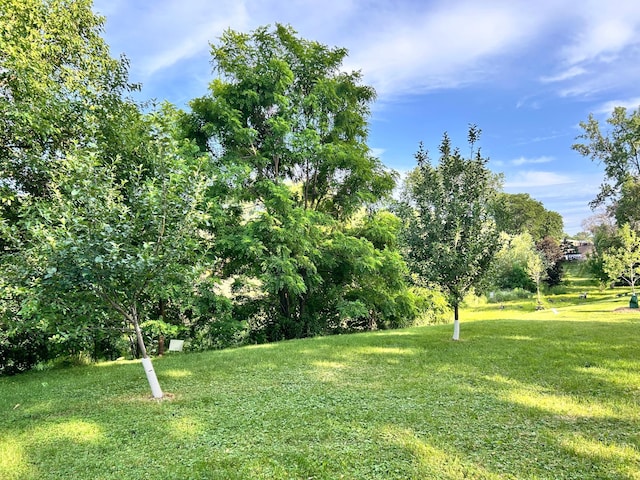 3821 Foss Rd, Saint Anthony, MN 55421 - view of grassy yard
