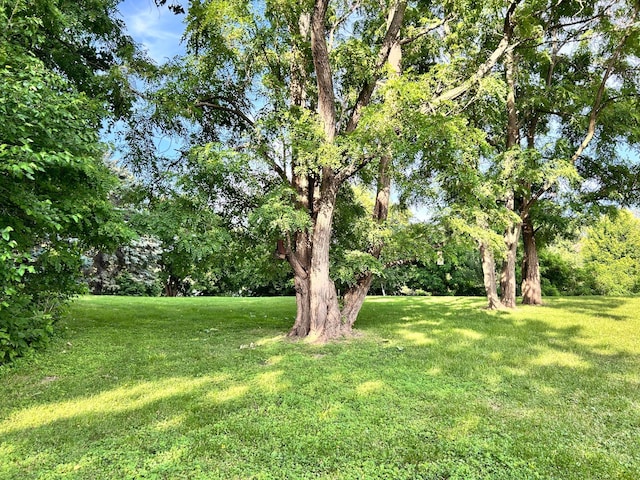 3821 Foss Rd, Saint Anthony, MN 55421 - view of grassy yard