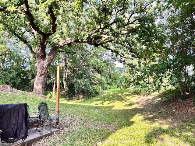 3821 Foss Rd, Saint Anthony, MN 55421 - view of green lawn