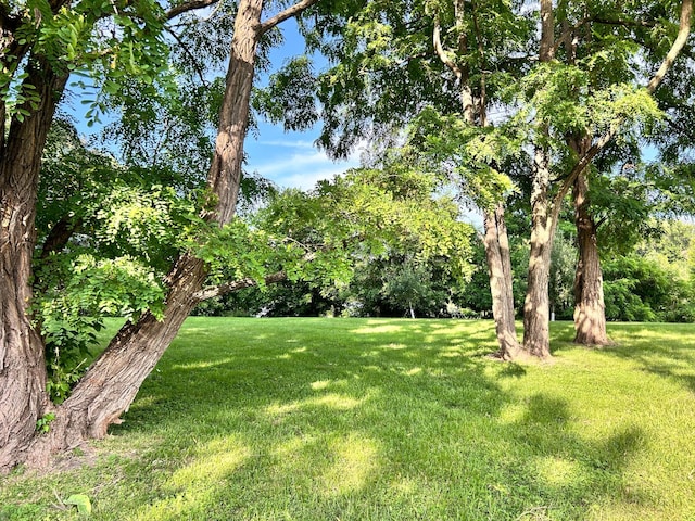 3821 Foss Rd, Saint Anthony, MN 55421 - view of green lawn
