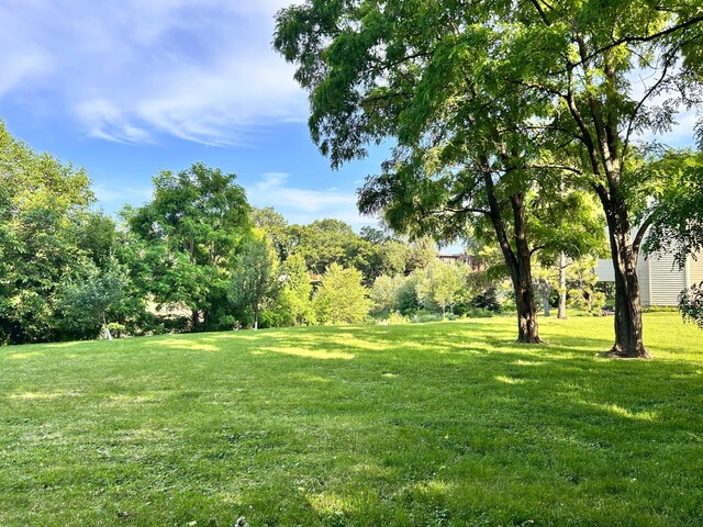 3821 Foss Rd, Saint Anthony, MN 55421 - view of green lawn