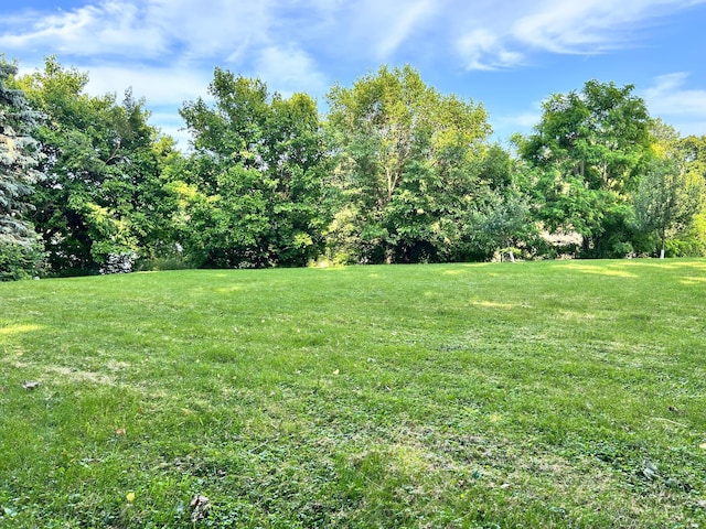 3821 Foss Rd, Saint Anthony, MN 55421 - view of green lawn