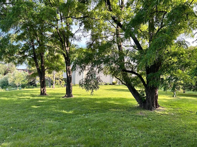 3821 Foss Rd, Saint Anthony, MN 55421 - view of green lawn