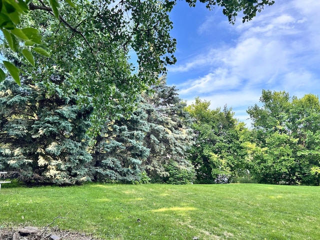 3821 Foss Rd, Saint Anthony, MN 55421 - view of green lawn