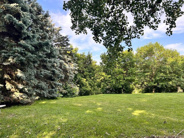 3821 Foss Rd, Saint Anthony, MN 55421 - view of green lawn