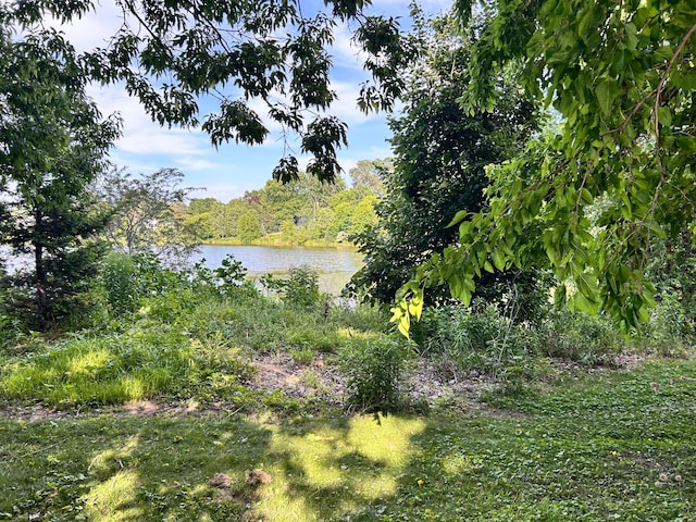 3821 Foss Rd, Saint Anthony, MN 55421 - water view