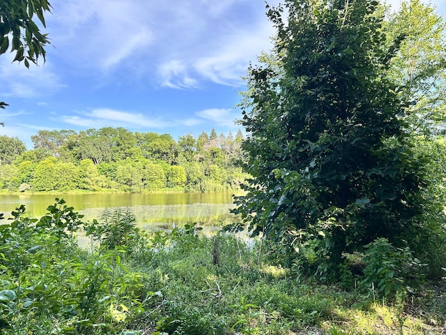 3821 Foss Rd, Saint Anthony, MN 55421 - water view featuring a forest