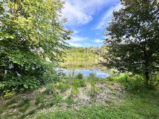 3821 Foss Rd, Saint Anthony, MN 55421 - water view featuring a heavily wooded area