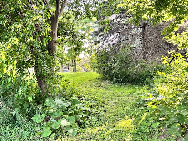 3821 Foss Rd, Saint Anthony, MN 55421 - view of green lawn