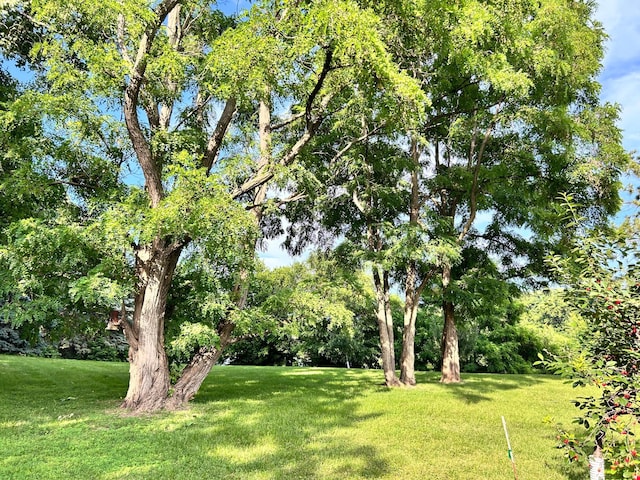 3821 Foss Rd, Saint Anthony, MN 55421 - view of green lawn