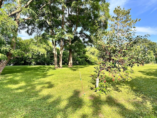 3821 Foss Rd, Saint Anthony, MN 55421 - view of grassy yard