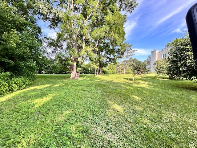 3821 Foss Rd, Saint Anthony, MN 55421 - view of green lawn