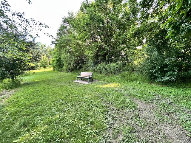 3821 Foss Rd, Saint Anthony, MN 55421 - view of grassy yard