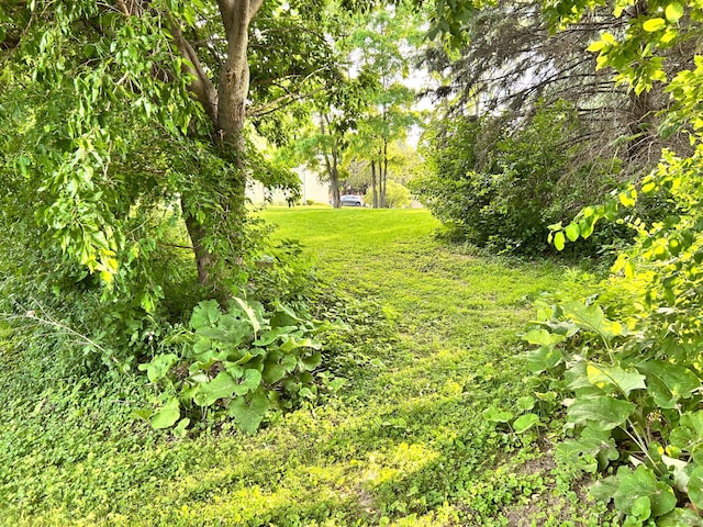 3821 Foss Rd, Saint Anthony, MN 55421 - view of green lawn