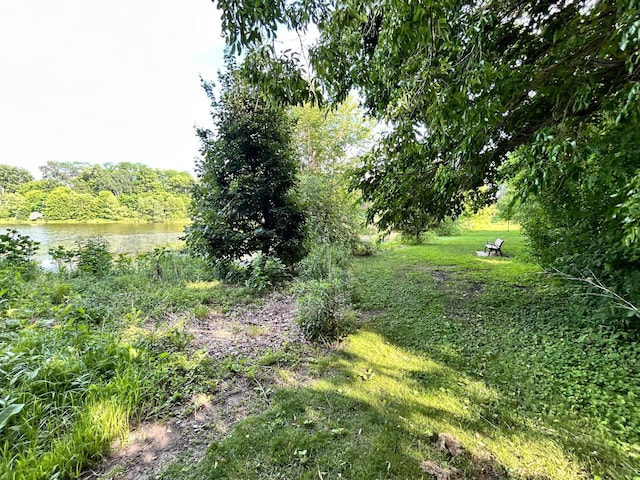 3821 Foss Rd, Saint Anthony, MN 55421 - view of green lawn featuring a water view
