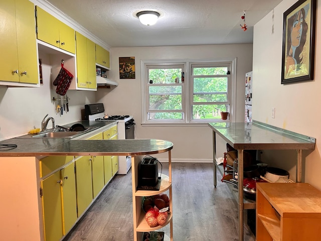 3821 Foss Rd, Saint Anthony, MN 55421 - kitchen featuring open shelves, white range with gas stovetop, under cabinet range hood, and dark wood-type flooring