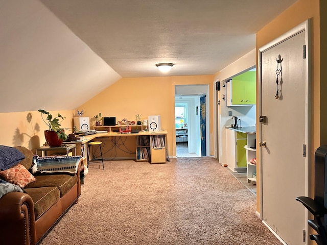 3821 Foss Rd, Saint Anthony, MN 55421 - carpeted office space featuring vaulted ceiling