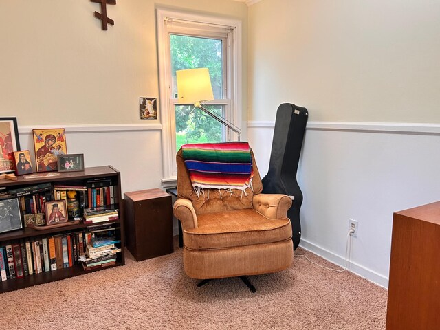 3821 Foss Rd, Saint Anthony, MN 55421 - sitting room with carpet flooring